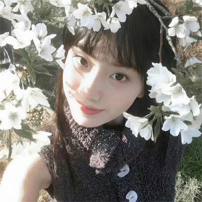 沉眠之虎